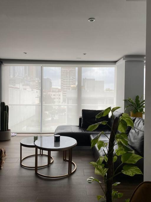 Black Loft. Moderno Y Nuevo, Super Ubicado. 멕시코 시 외부 사진